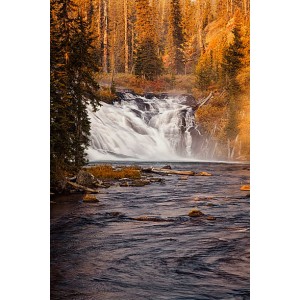 Yellowstone National Park 7 Days Tour