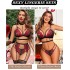 Avidlove Lace Garter Lingerie Set with Removable Choker