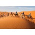 Sahara Desert, Morocco - Stars and Silence in the Desert