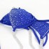 Competition Bikini Suit | NPC IFBB Posing Suit |Scrunch Bikini | Sapphire Blue