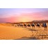 Sahara Desert, Morocco - Stars and Silence in the Desert