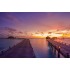 Maldives - Paradise Island Scenery