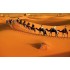 Sahara Desert, Morocco - Stars and Silence in the Desert