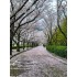 15-Day Japan Cherry Blossom Hot Spring Culture Panoramic Tour