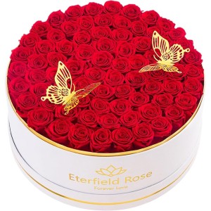 Eterfield 77-Piece Preserved Roses in a Box, Mother's Day Forever Flowers Roses That Last a Year Rose Box Preserved Flowers for Her Mom Women Wife (Red Roses, Round White Suede Box)
